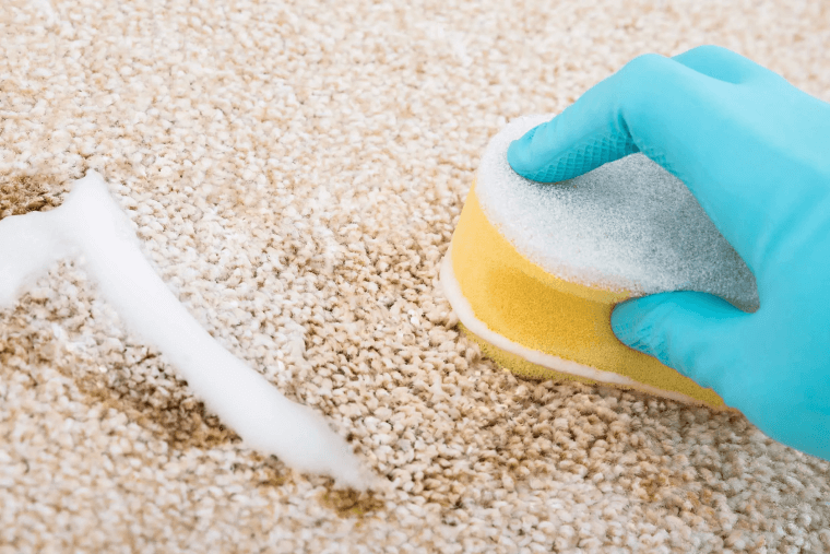 Clean Carpet Stains