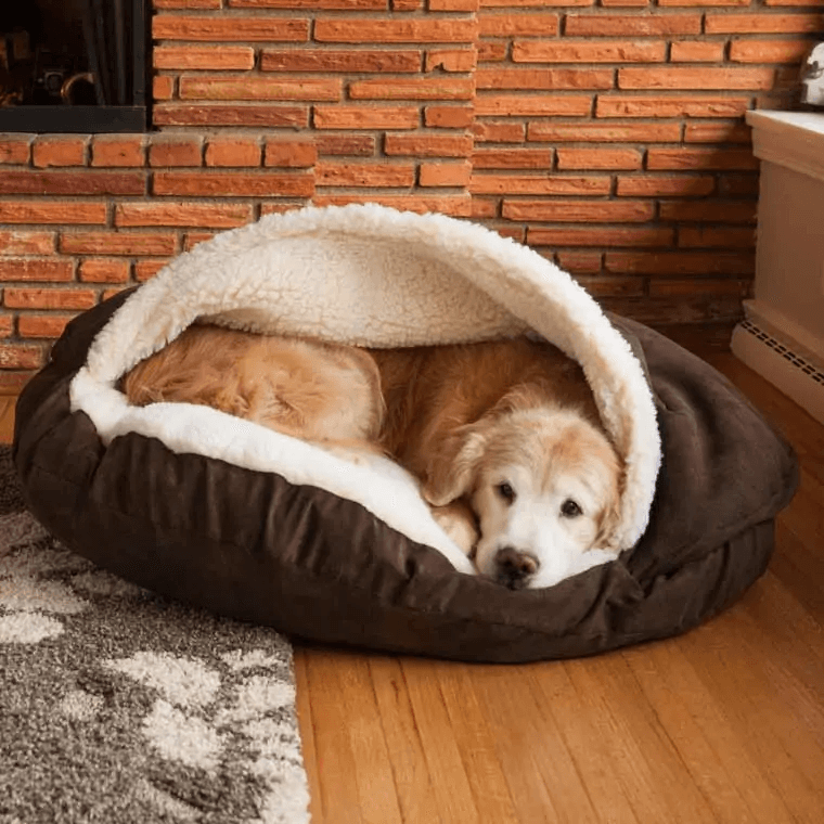 Deodorize Your Pet's Bed