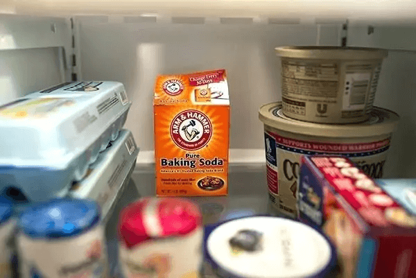 Take Care Of The Odor Coming From Your Fridge