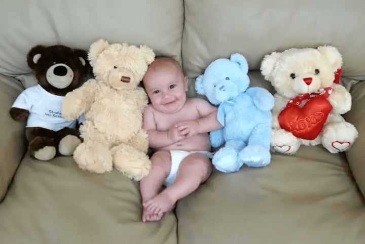Thoroughly Clean Stuffed Animals
