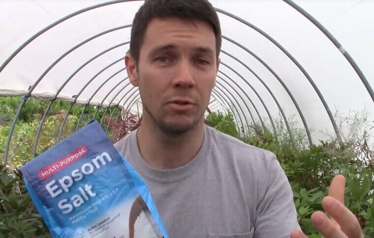 Use Epsom Salt for Plant Boosting