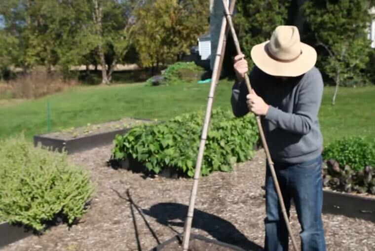 Craft a Trellis From Branches