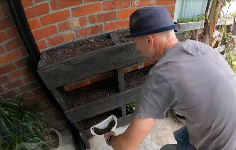 Make a DIY Pallet Wall