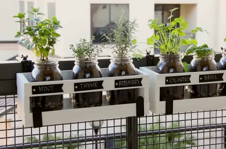Start a Herb Garden in Mason Jars