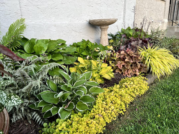 Grow Perennials That Come Back Every Year