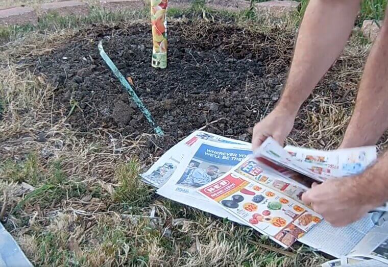 Use Newspaper as Weed Barrier