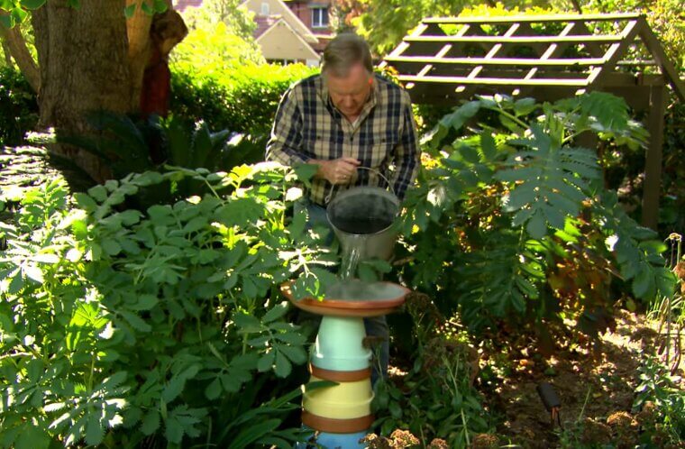 Make a DIY Bird Bath