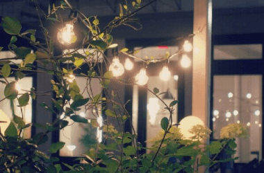 How to Create Your Own Backyard Oasis on a Budget