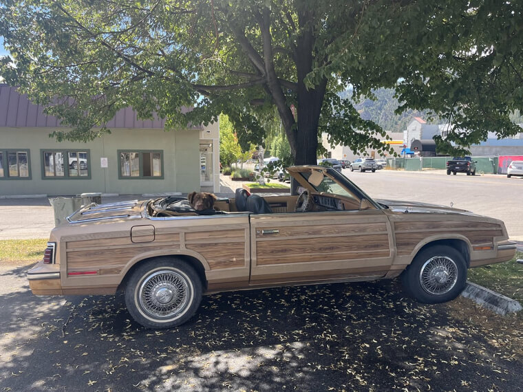 Chrysler LeBaron Convertible