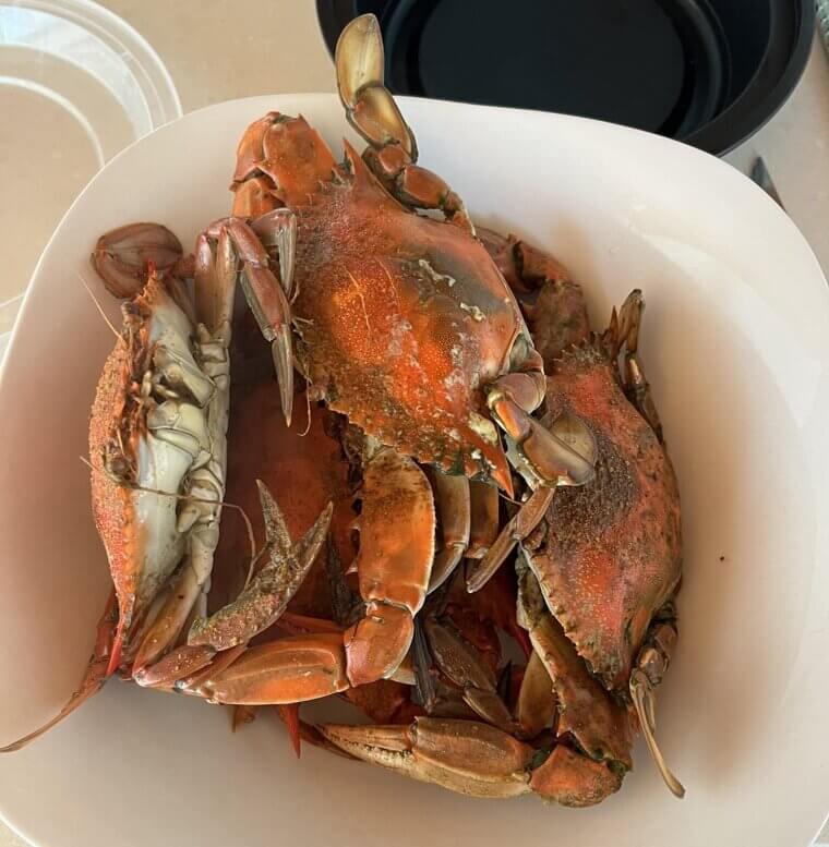 Delaware: Small-Town Living and Plenty of Seafood