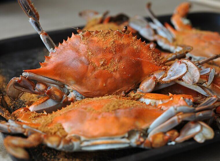 Maryland: Crabs and Boating