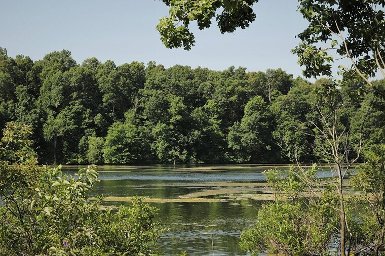 Missouri: Cultural Activities