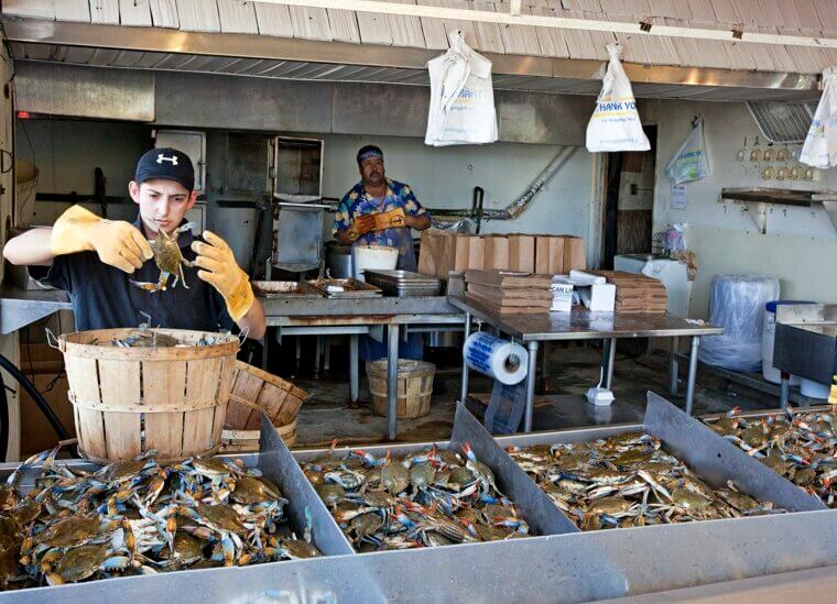 Maine: Delicious, Healthy Seafood