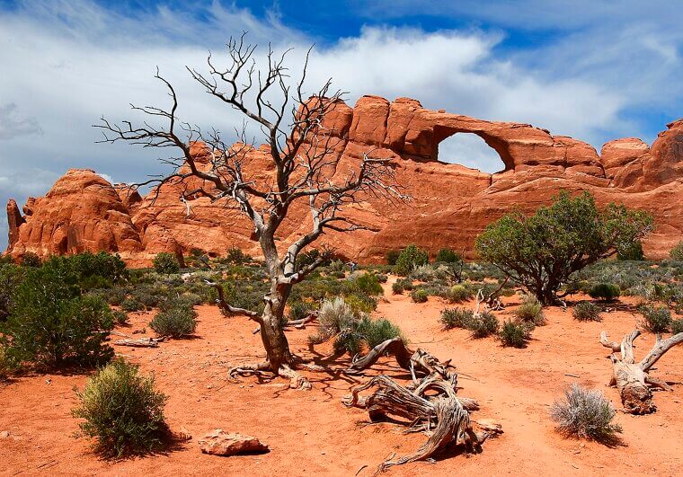 Utah: Clean Living and National Parks