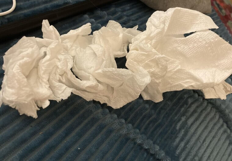 Half-Used Napkins and Tissues