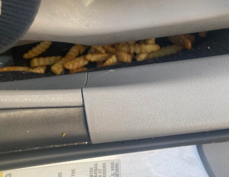 A Fossilized French Fry