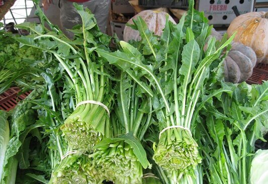 Dandelion Greens: The Bitter Tonic for Optimal Liver Function