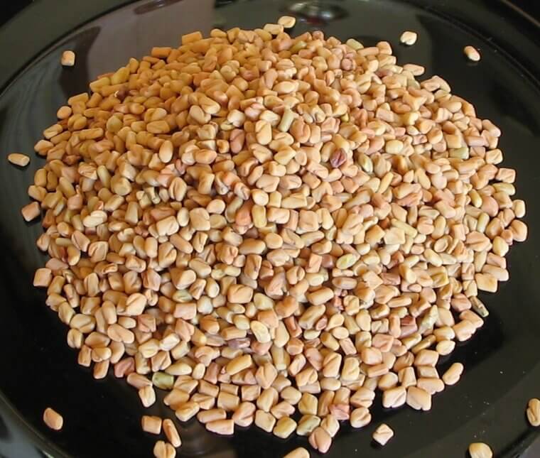 Fenugreek Seeds: The Fragrant Spice That Sharpens Insulin Sensitivity