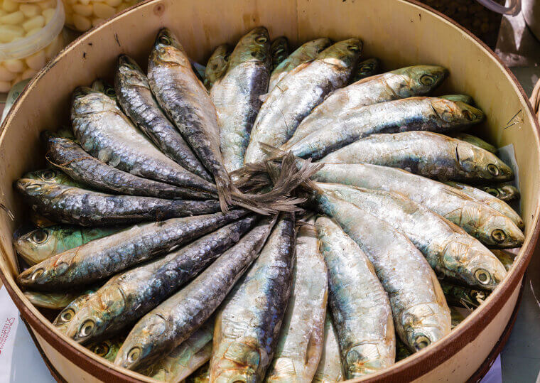 Sardines With Bones: The Tiny Fish That Delivers a Massive Calcium Punch