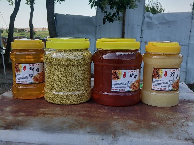 Bee Pollen: The "Nature’s Multivitamin" for an Instant Vitality Boost