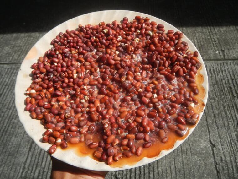 Adzuki Beans: The Tiny Red Legumes That Support Kidney Vitality
