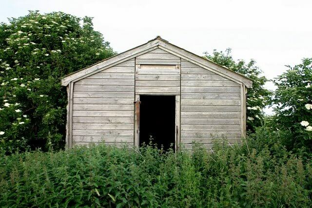 Taking Down an Old Shed