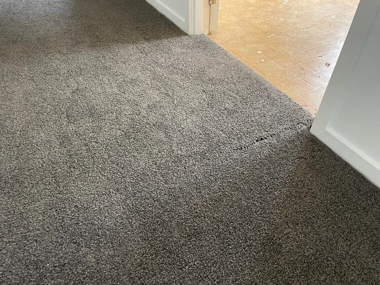 Fitting a New Carpet