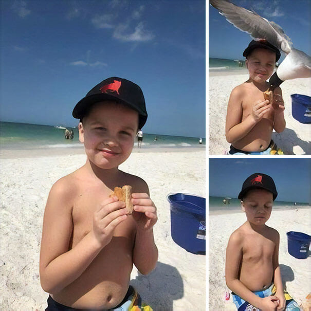 The Seagull Stole His Lunch: A Photo Series
