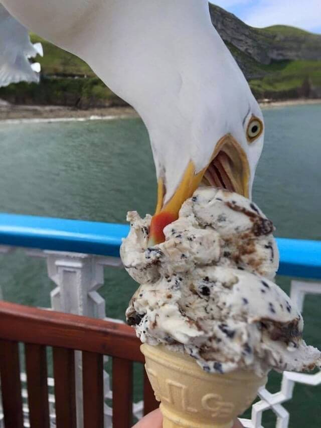 "I'll Take Some Of This, Don't Mind If I Do"