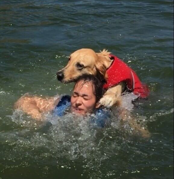 It Was A Fun Lake Day Till The Dog Tried To Drown Her