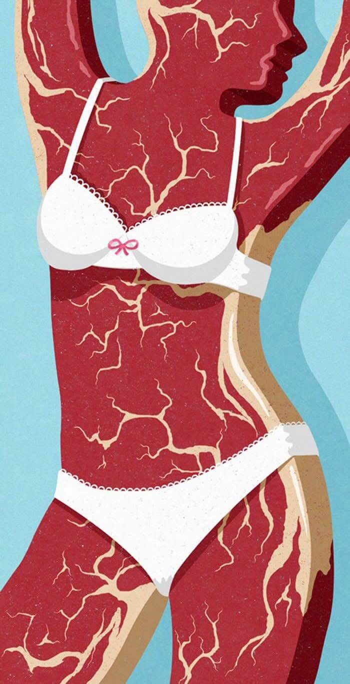 Women Are Not Pieces Of Meat