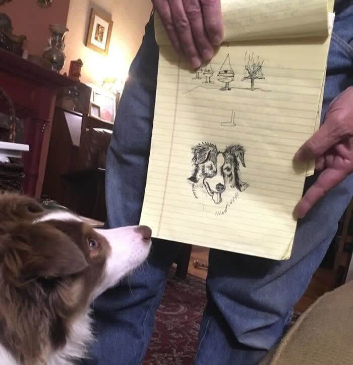 「犬なんて飼わないぞ」という状態から犬の絵を描てしまうレベルまでステップアップ