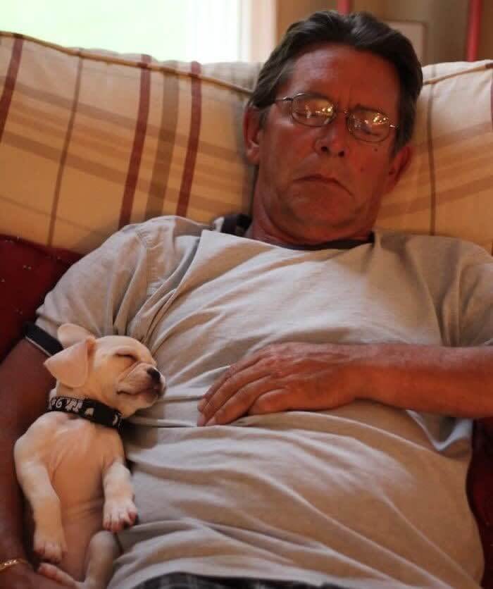 犬なんて欲しくなかったのに、今や犬は発作を起こした彼が回復するのを助けています