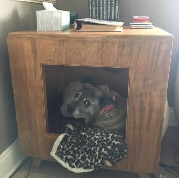 このお父さんは犬小屋も兼ねるエンドテーブルを作り上げました