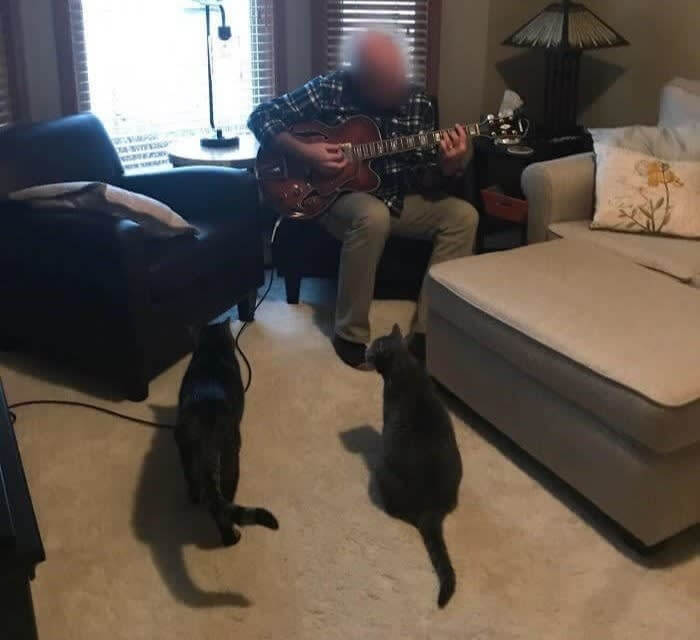 欲しくなかった猫に毎晩ショーを見せてあげる彼