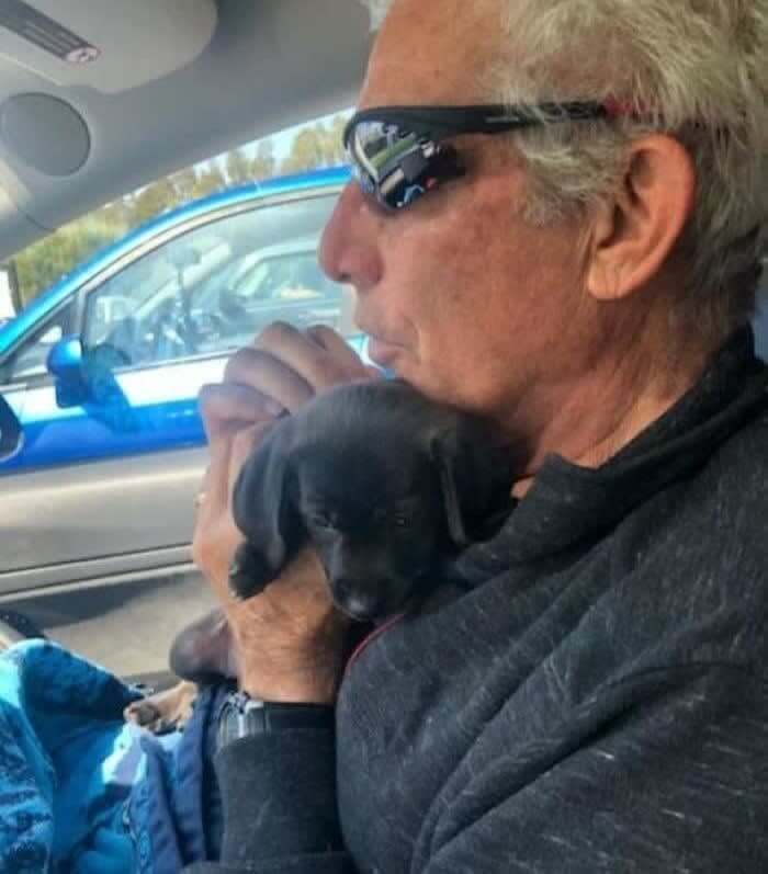 犬なんて欲しくなかったのですが、彼はシェルターで涙しました