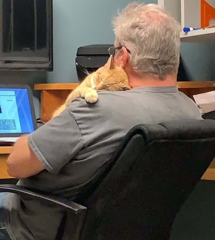 本当に欲しくなかったのに...今の様子を見てください