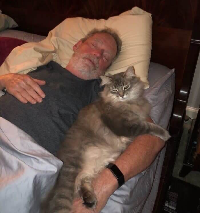 「猫をベッドに近づけるな」byお父さん