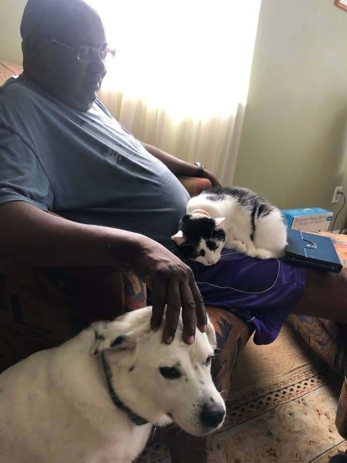 猫が寝ているので彼は立ち上がれません