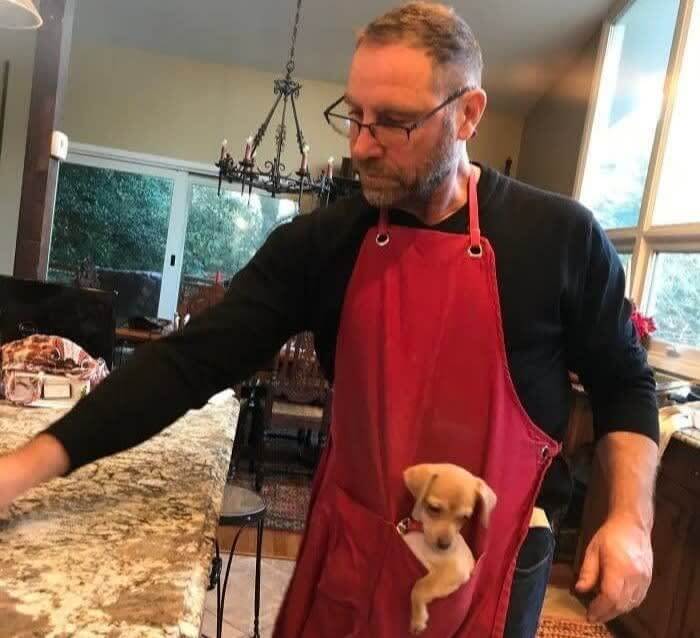 「小さい犬なんて、邪魔だし踏みつけてしまうだけだ」