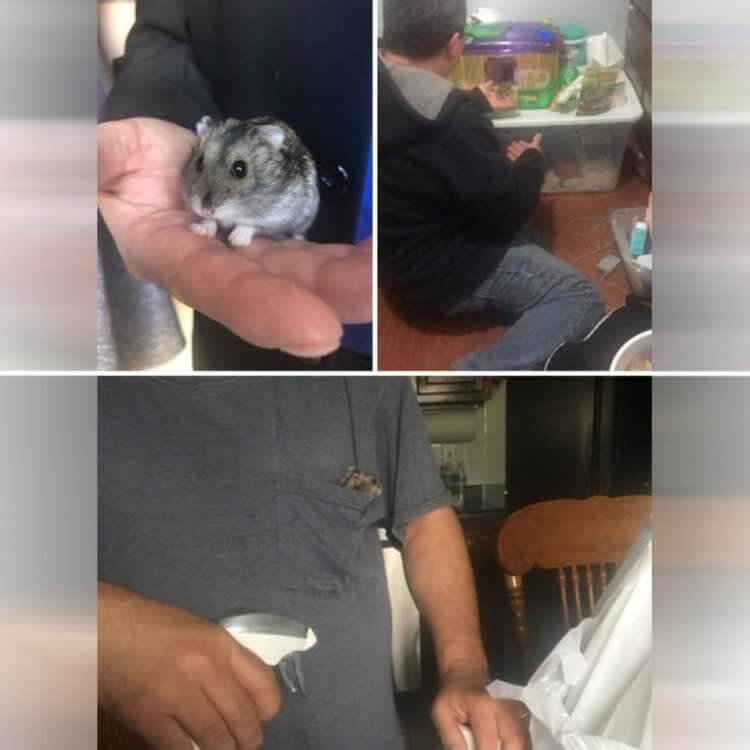 動物はあまり好きじゃない、と彼は言いますが