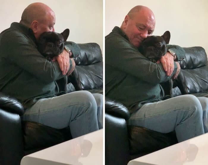 彼が犬にハグをしているなんて誰も見ていないと思っているケース