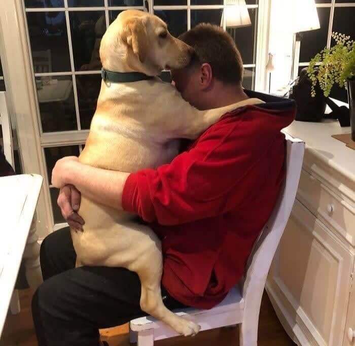 お父さんは犬なんて欲しくなかったのに、犬にはお父さんが必要でした