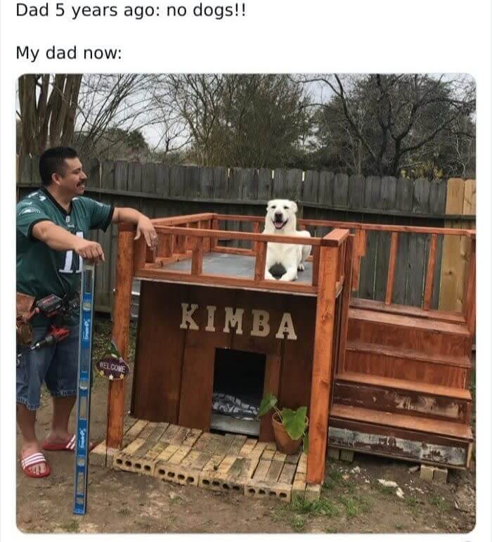 「犬はダメ」と言ったのに、何日もかけてこれを作り上げました