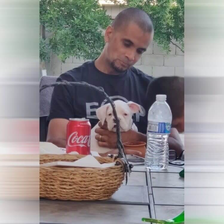 犬を家になんて連れて帰らないと言っていたのに、今や彼は犬に夢中