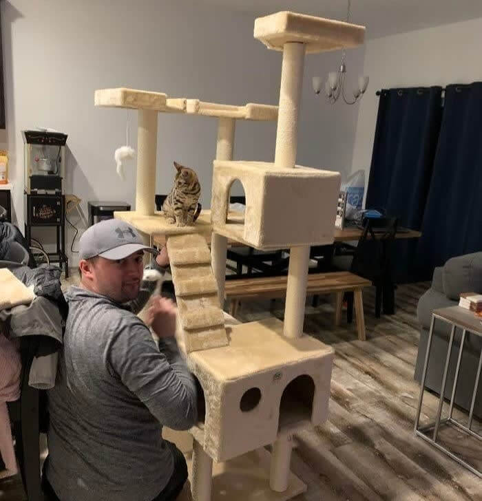 「猫なんて絶対飼わないぞ」