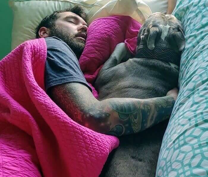 猫が大好きだけど、飼い犬なしでは眠れません