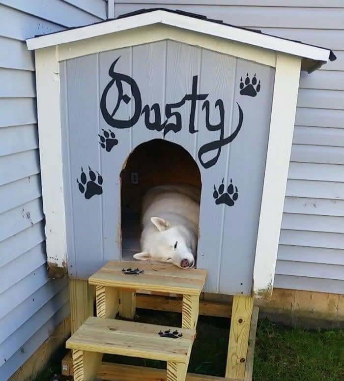 階段付きの犬小屋と家に通じるドアを作ってあげました