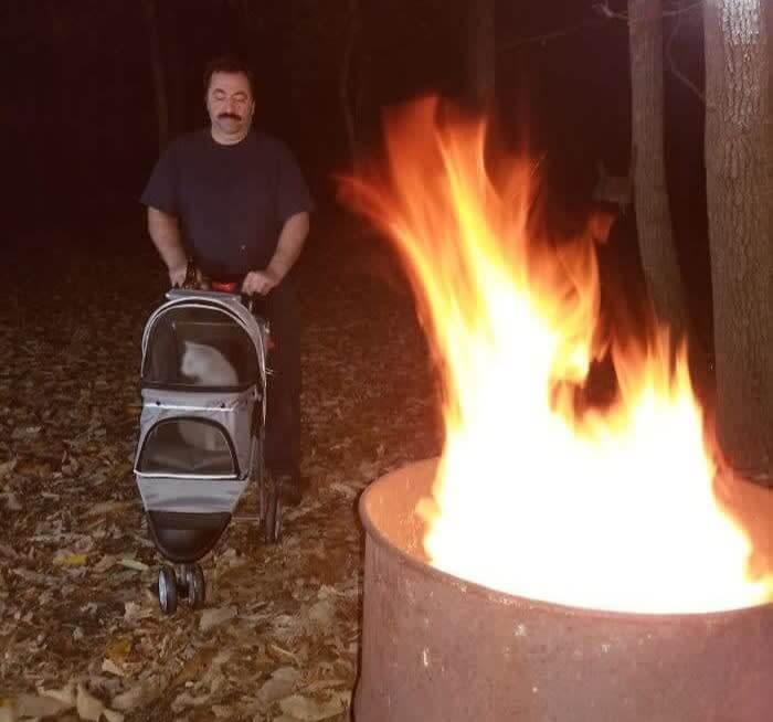 お気に入りの柔らかい毛の生えたベイビーと炎を楽しみます