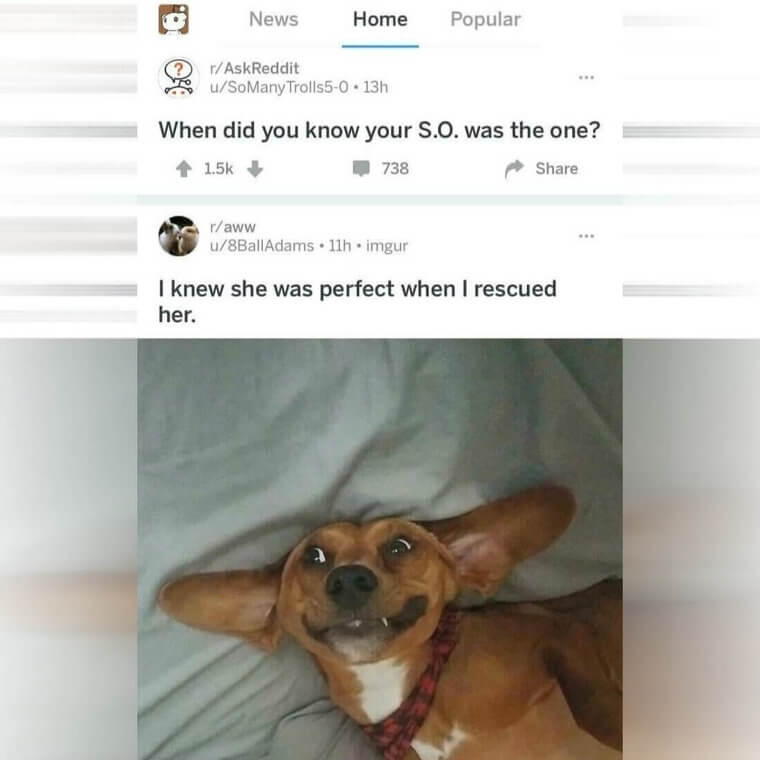 運命の人は君で決まり!